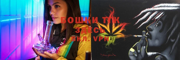 гидра Вязники