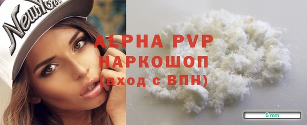 apvp Вяземский
