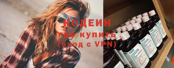 apvp Вяземский