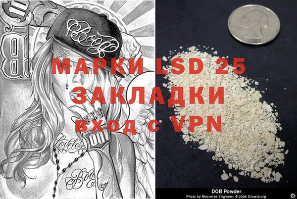 apvp Вяземский