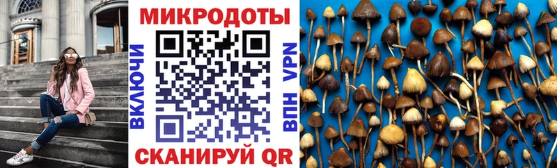 Галлюциногенные грибы MAGIC MUSHROOMS  хочу наркоту  Весьегонск 